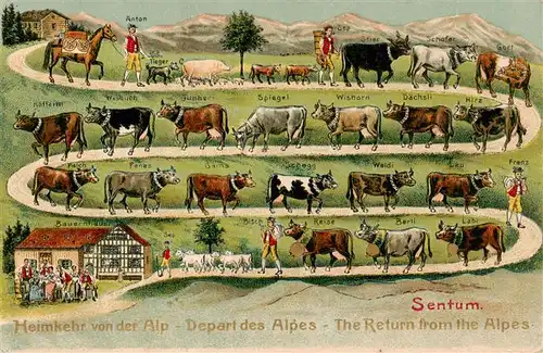 AK / Ansichtskarte 73948220 Landwirtschaft Heimkehr Litho Kuehe Sentum