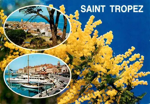 AK / Ansichtskarte  Saint_Tropez_Var Panorama Hafen Bluetenzauber