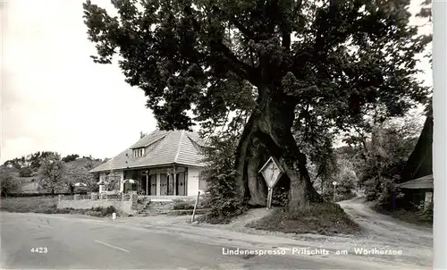 AK / Ansichtskarte  Pritschitz_Reifnitz_Woerthersee_Kaernten_AT Linenespresso Pritschitz