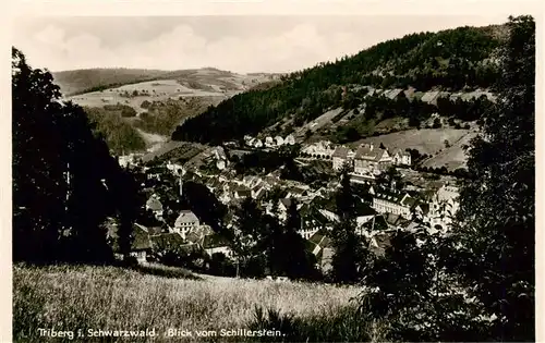 AK / Ansichtskarte  Triberg Panorama Blick vom Schillerstein