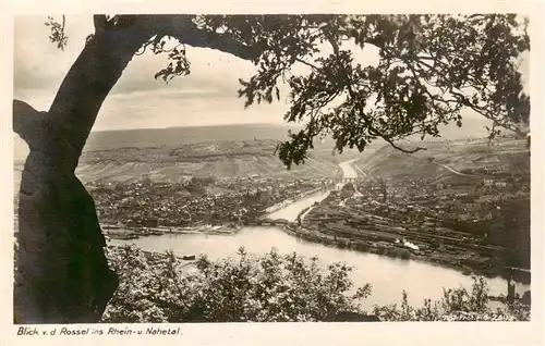 AK / Ansichtskarte 73949134 Ruedesheim_am_Rhein Panorama Blick von der Rossel ins Rhein- und Nahetal