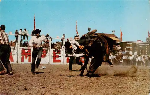 AK / Ansichtskarte  Calgary_Alberta_Canada Bucking horse at the famous Stempede