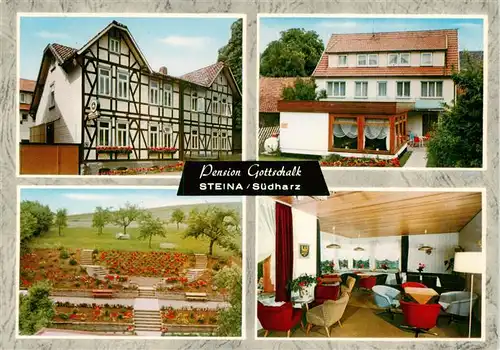 AK / Ansichtskarte  Steina_Suedharz Pension Gottschalk Gastraum Park