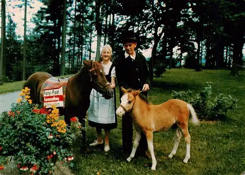 AK / Ansichtskarte 73949374 St_Andreasberg_Harz Die Pony Post mit Nachwuchs im Kurpark