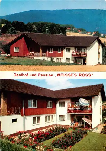 AK / Ansichtskarte 73949430 Friedenfels_Oberpfalz_Bayern Gasthof Pension Weisses Ross