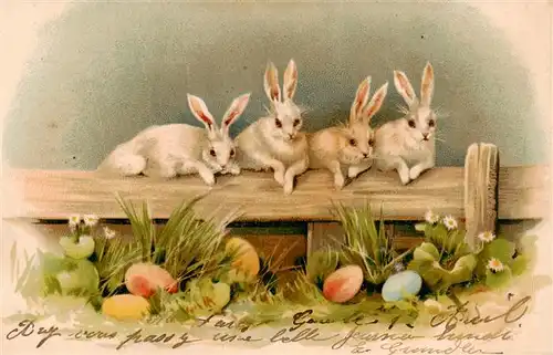 AK / Ansichtskarte  Ostern_Easter_Paques_Pasqua Hasen 