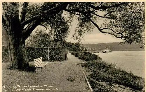 AK / Ansichtskarte  Unkel_Rhein Dicke Weide Rheinpromenade