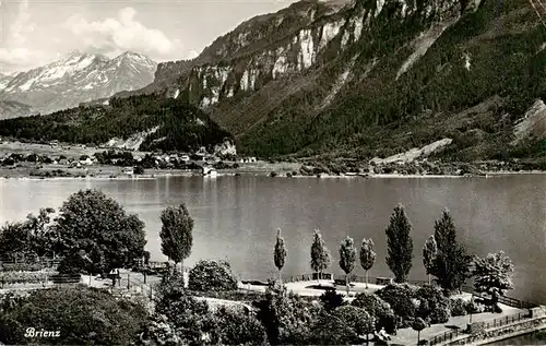 AK / Ansichtskarte  Brienz_Brienzersee_BE Seepanorama