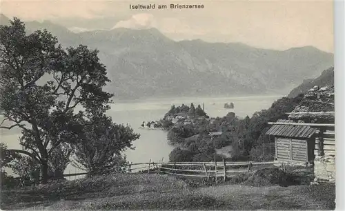 AK / Ansichtskarte  Iseltwald_BE am Brienzersee