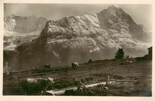 AK / Ansichtskarte  Grindelwald_BE Alp Nothalden mit Eiger und Viescherhoerner