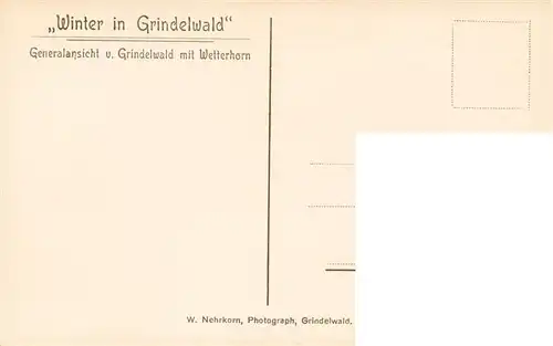 AK / Ansichtskarte  Grindelwald_BE Panorama mit Wetterhorn