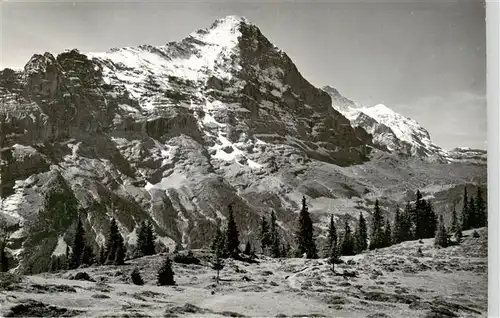 AK / Ansichtskarte  Grindelwald_BE Bussalp Eiger und Jungfrau