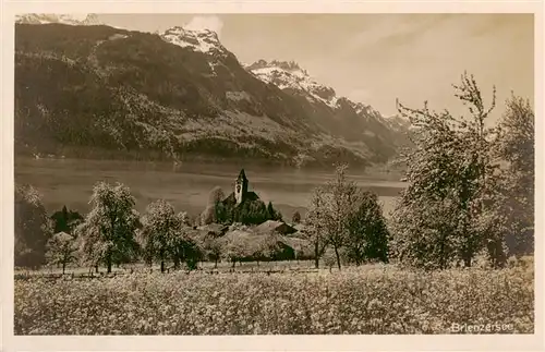 AK / Ansichtskarte  Brienz_Brienzersee_BE Panorama Berner Alpen