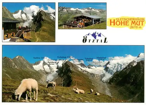 AK / Ansichtskarte 73950262 Obergurgl_Soelden_oetztal_Tirol Gletscherhaeusl Hohe Mut Schafe Gebirgspanorama oetztaler Alpen