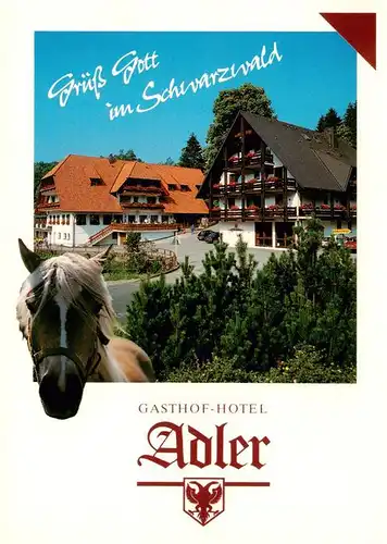 AK / Ansichtskarte 73950267 St_Roman_Wolfach Gasthof Hotel Adler Pferd