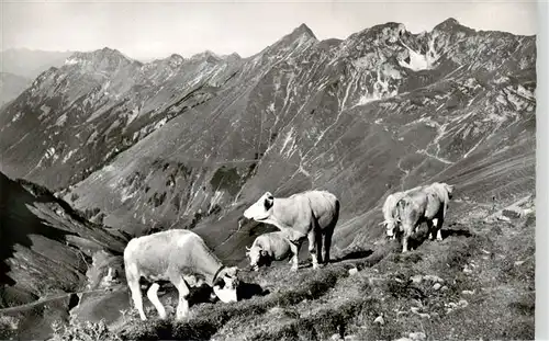 AK / Ansichtskarte  Brienzer-Rothorn_2350m_Brienzerrothorn_BE Panorama