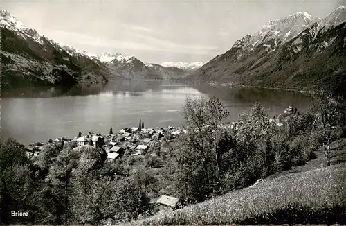 AK / Ansichtskarte  Brienz_Brienzersee_BE Panorama