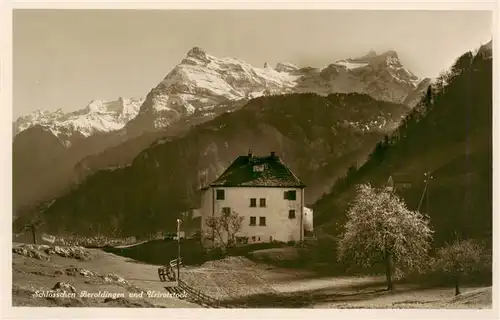 AK / Ansichtskarte  Beroldingen_Schloss_Seelisberg_UR Schloesschen mit Urirotstock