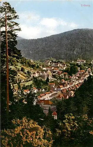 AK / Ansichtskarte  Triberg Panorama