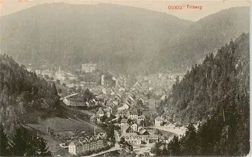 AK / Ansichtskarte  Triberg Panorama