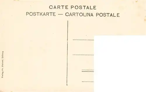 AK / Ansichtskarte  Triberg Panorama