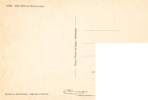 AK / Ansichtskarte  Ebligen_Oberried_Brienzersee_BE Seepartie Bootsliegeplatz