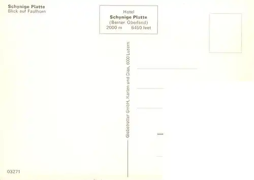 AK / Ansichtskarte  Schynige-Platte_Schynigeplatte_2100m_BE Blick auf Faulhorn