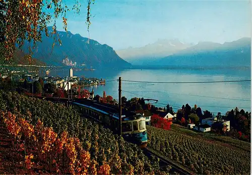 AK / Ansichtskarte  Montreux__VD Vue sur le Lac Lemanet Dents du Midi