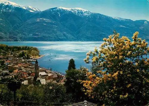 AK / Ansichtskarte  Ascona_Lago_Maggiore_TI Panorama