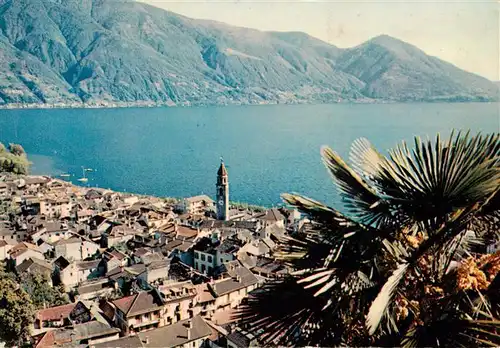 AK / Ansichtskarte  Ascona_Lago_Maggiore_TI Panorama