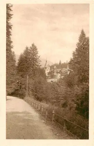 AK / Ansichtskarte 73950884 Peles_Castel_Sinaia_RO Castelul