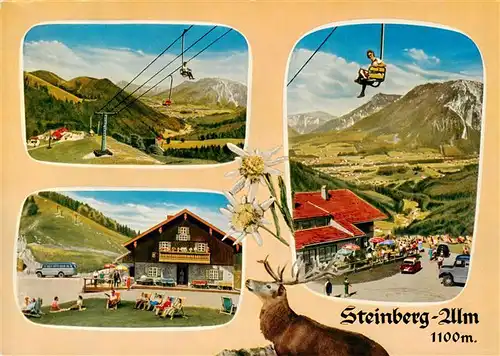 AK / Ansichtskarte 73950906 Ruhpolding Steinberg-Alm Sessellift Alpen Hirsch