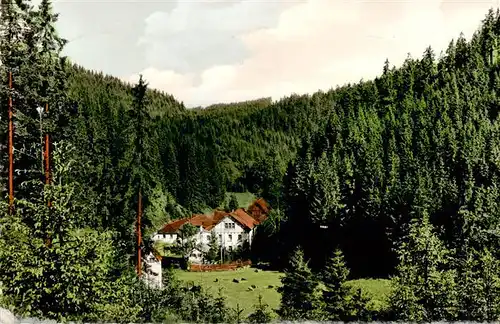 AK / Ansichtskarte  Bischofsmuehle_Rodachtal_Helmbrechts Gasthof zum Bauernhaeusl