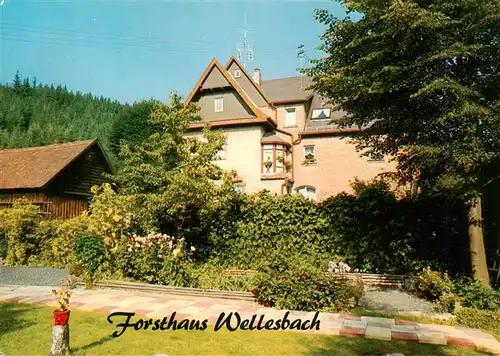 AK / Ansichtskarte 73951015 Wellesbach_Oberfranken Gast- und Forsthaus
