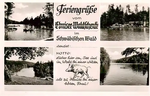 AK / Ansichtskarte 73951181 Ebnisee_Welzheim Seepanorama Ebnisee Waldschenke