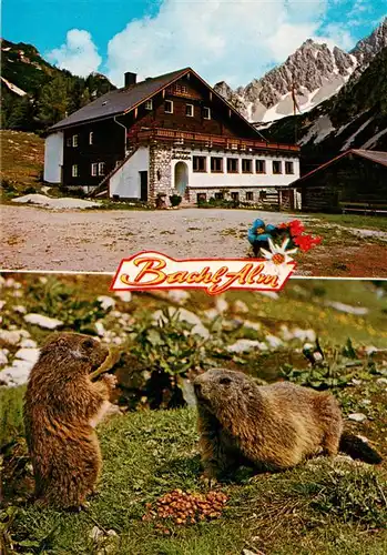 AK / Ansichtskarte 73951216 Ramsau__Berchtesgaden Alpengasthof Bachlalm Brotzeit der Murmeltiere