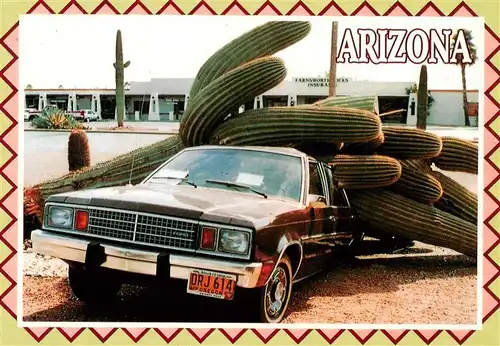 AK / Ansichtskarte  Arizona_US-State The saguaro cactus found in the deserts of Arizona