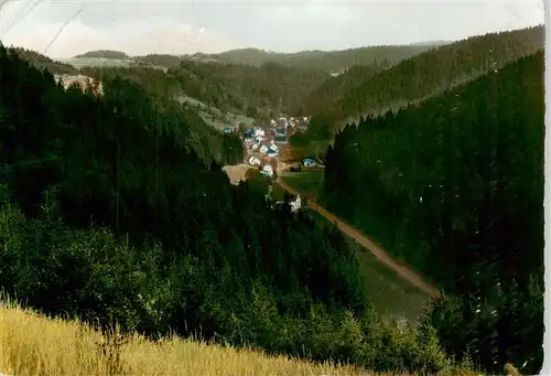 AK / Ansichtskarte  Duerrenwald_Geroldsgruen Sommerfrische Landschaftspanorama Frankenwald