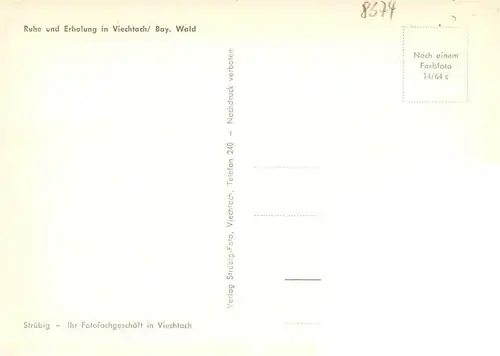 AK / Ansichtskarte  Viechtach_Bayerischer_Wald Panorama