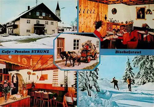 AK / Ansichtskarte 73951506 Bischofsreut_Haidmuehle Café Pension Strunz Gaststube Ponykutsche Langlauf Winterlandschaft