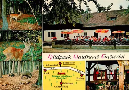 AK / Ansichtskarte  Nittenau Wildpark Waldhaus Einsiedel