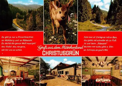 AK / Ansichtskarte 73951616 Christusgruen Ruebezahls Heimatliebe Gaststaette Rehkitz Landschaftspanorama