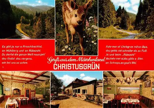 AK / Ansichtskarte  Christusgruen Ruebezahls Heimatliebe Gaststaette Rehkitz Landschaftspanorama