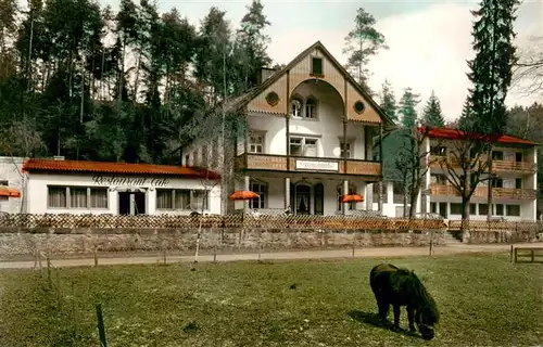 AK / Ansichtskarte  Marktschorgast Gasthof Grundmuehle Restaurant Cafe