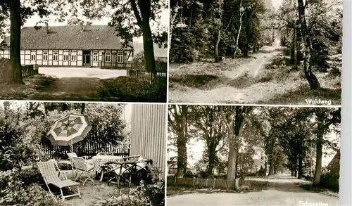 AK / Ansichtskarte  Sprakensehl Pension Meyer Waldweg Garten Eichenallee