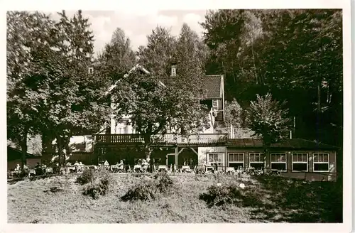 AK / Ansichtskarte  BAD_HARZBURG Waldgasthaus Sennhuette