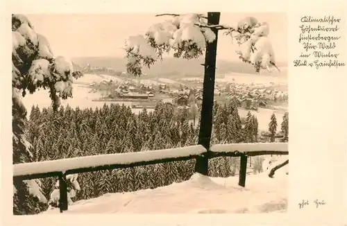 AK / Ansichtskarte 73952637 Finsterbergen_Bad Winterpanorama