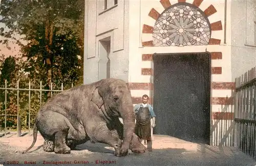 AK / Ansichtskarte  Zoo_Gardin_Zoologique-- Basel 2882 Elephant