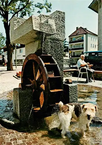 AK / Ansichtskarte  BAD_WoeRISHOFEN Brunnen an der Kurpromenade