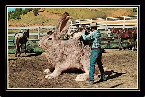 AK / Ansichtskarte  Hasen_-Rabbits_Lapins_Conejos-- Saddling up Big Jack